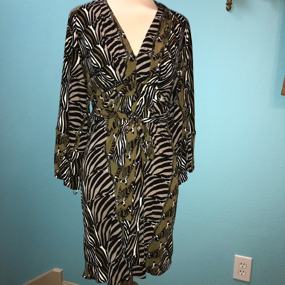 Issa London for Banana Republic Zebra Dress